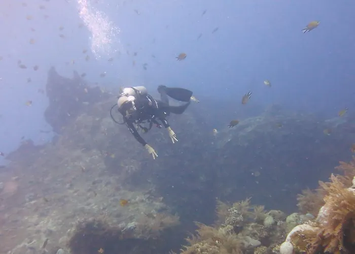 Seahua Ha Ha Dive Bed & Breakfast