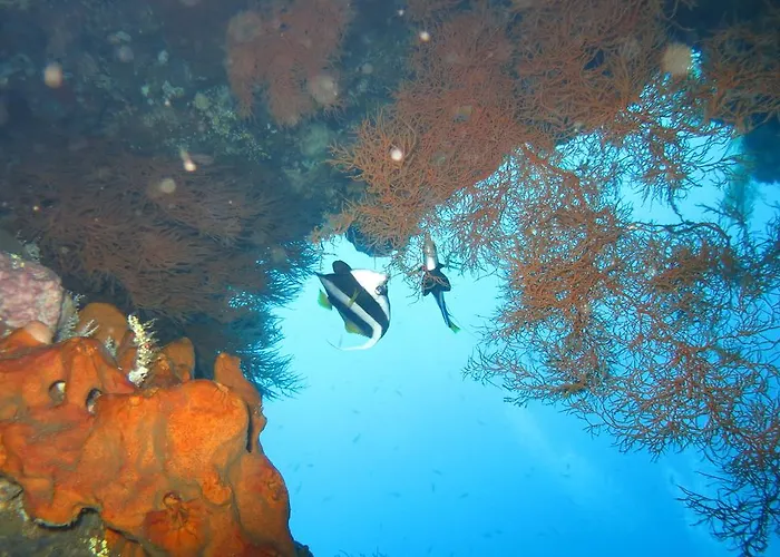 Seahua Ha Ha Dive Bed & Breakfast 2*