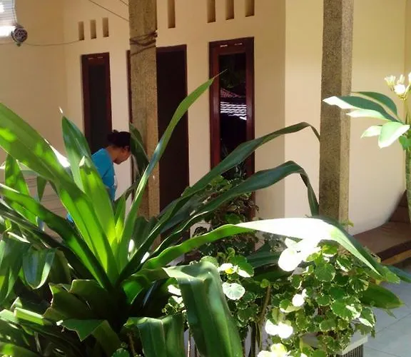 Bed & Breakfast Seahua Ha Ha Dive Tulamben (Bali)